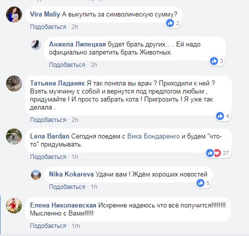 Дерет обои: в Николаеве неадекватная хозяйка держит котенка-скелета на веревке